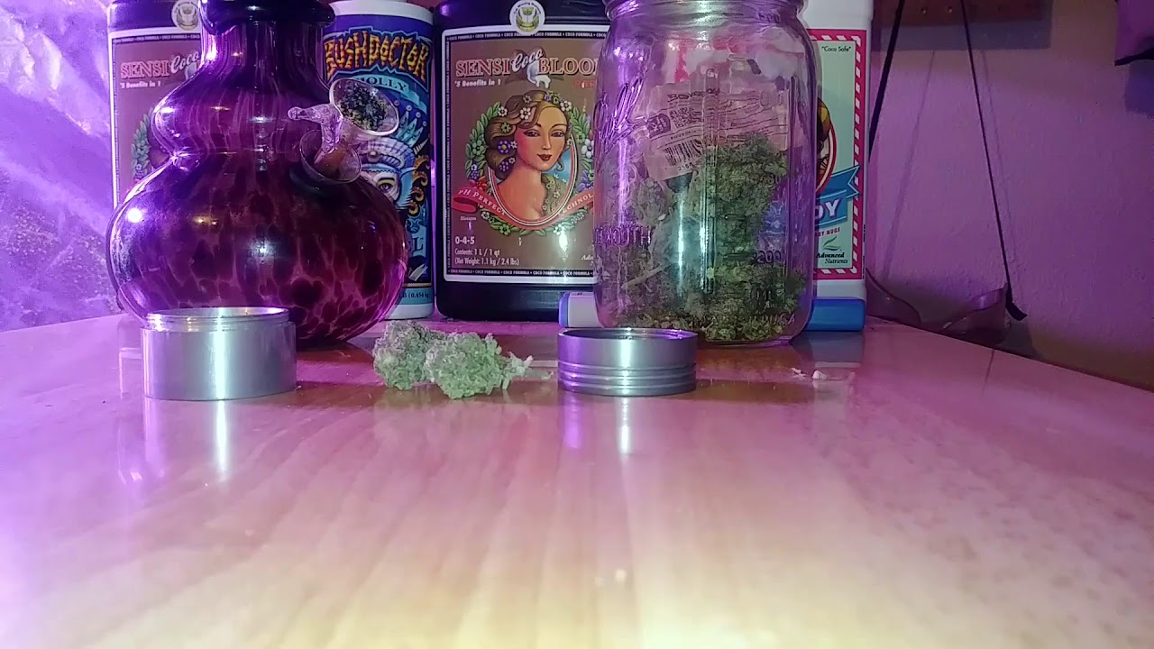 HAPPY NEW YEAR!!! A Special Strain review From O.G.G.