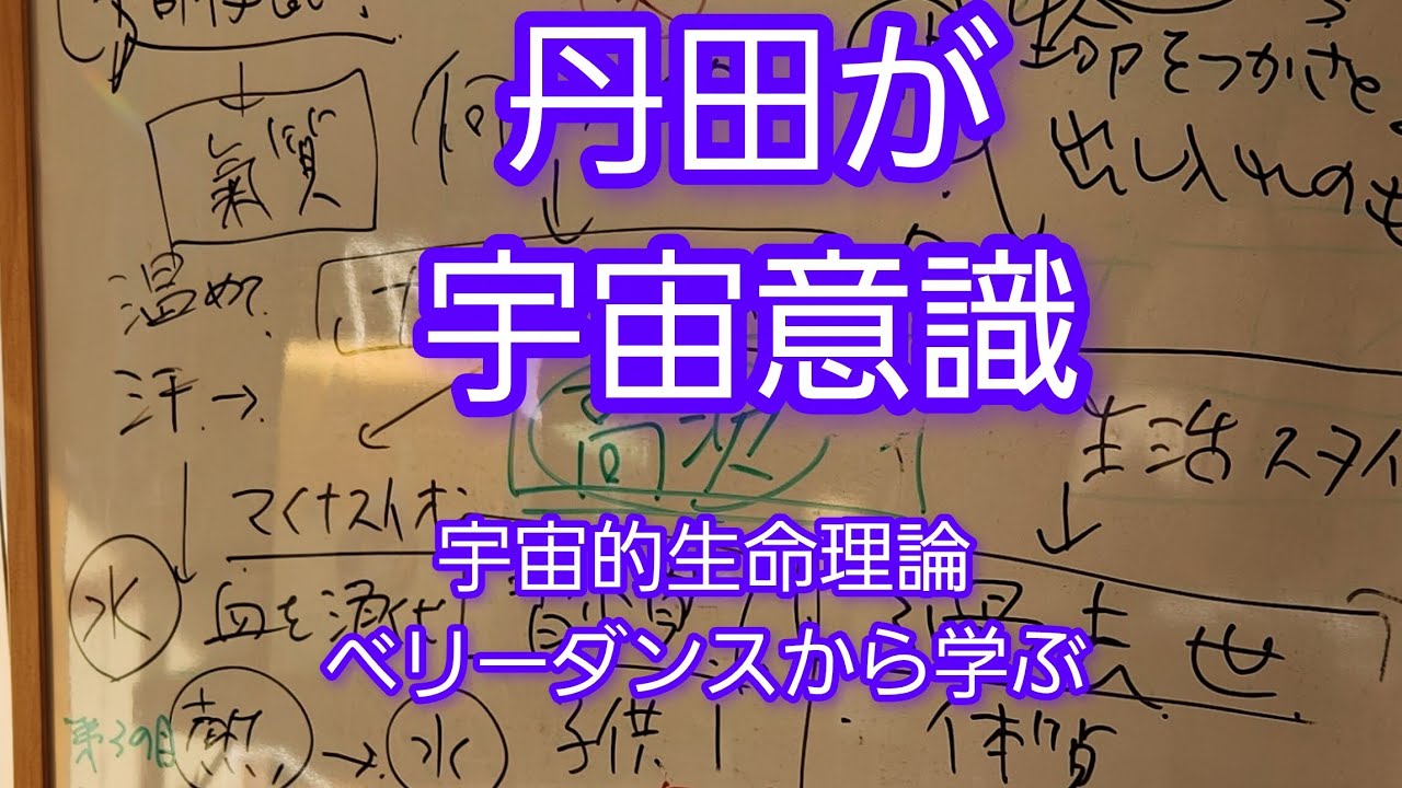 ベリエク先生が教える宇宙的生命理論No.4丹田に繋がれば宇宙意識がはいる