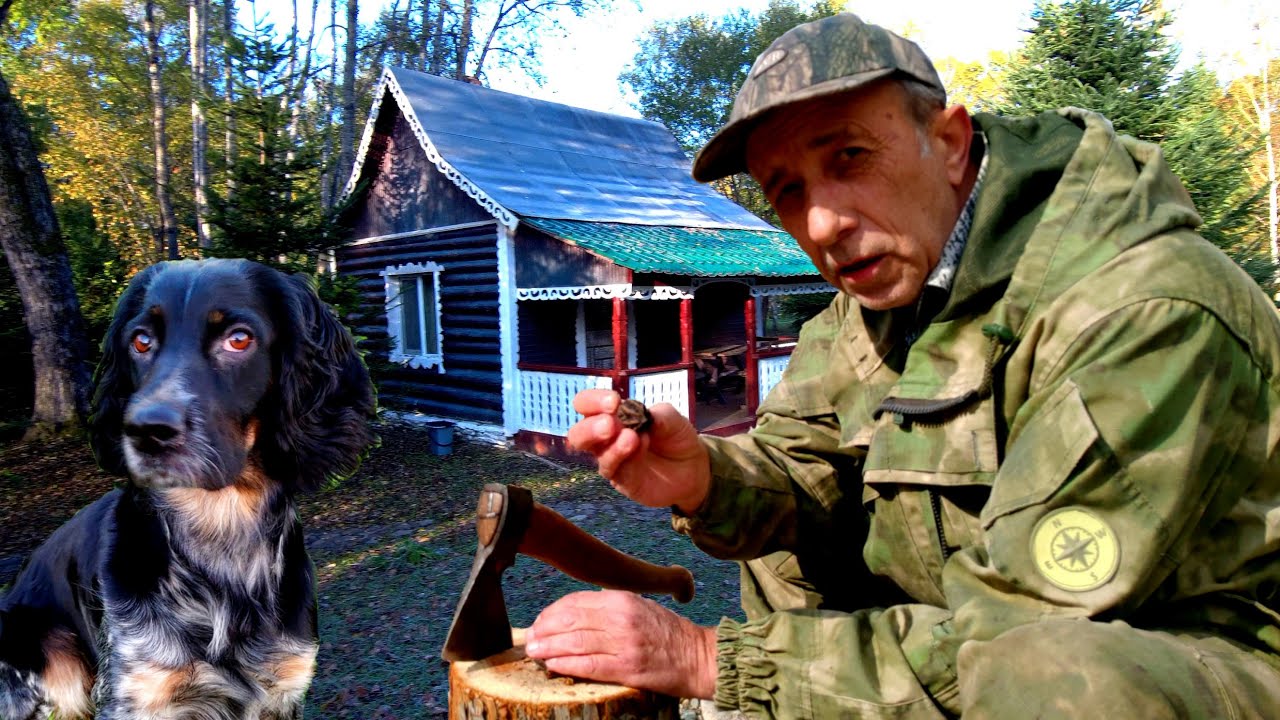 Таёжный Теремок. Лесная Заимка.  База отдыха в глухой Приморской Уссурийской тайге. Гостиный Двор.