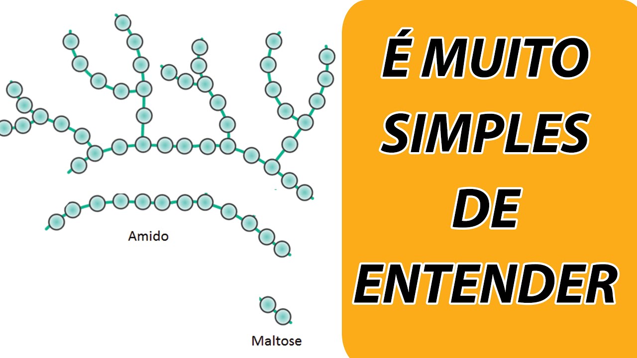 A AÇÃO DAS ENZIMAS NO MOSTO CERVEJEIRO - Entenda de uma jeito simples | FAZ CERVEJA