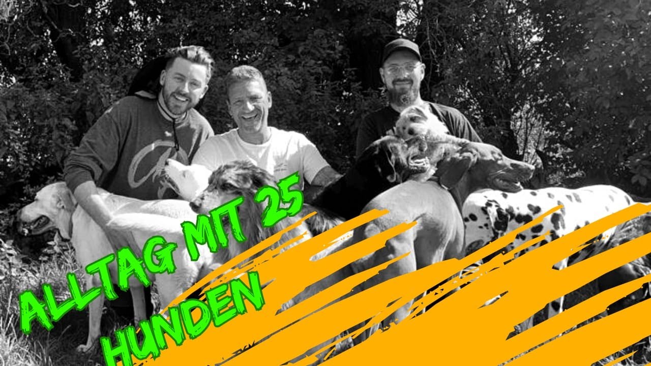 Unsere Hundepension - Alltag mit 25 Hunden