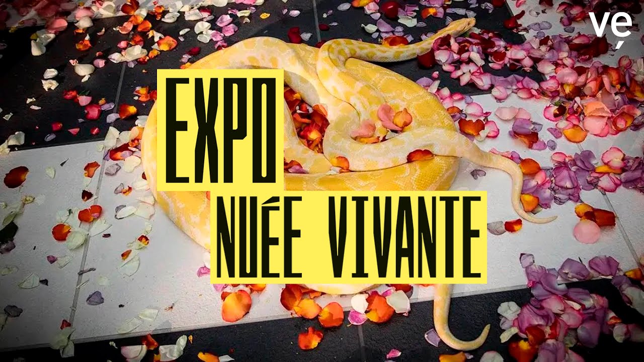 Exposition Nuée vivante
