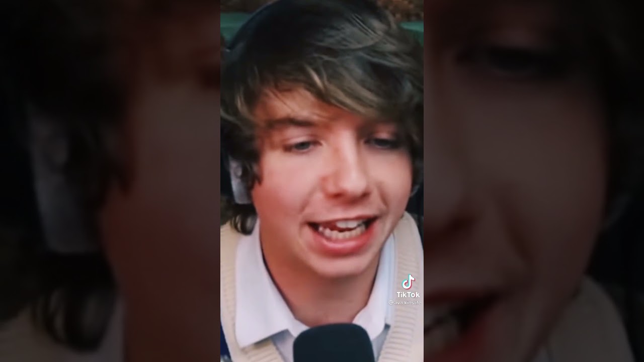 Dsmp/mcyt tiktok compliaton