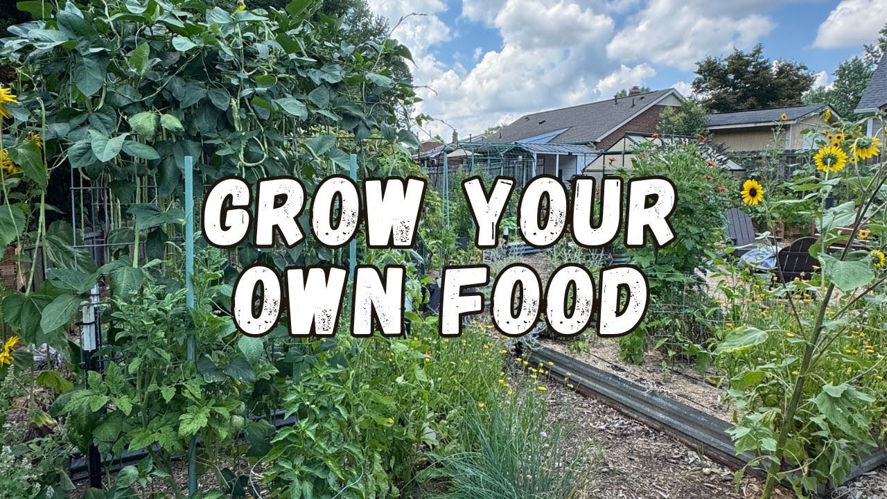 Full Backyard Vegetable Garden Tour | Zone 8a - July 2025