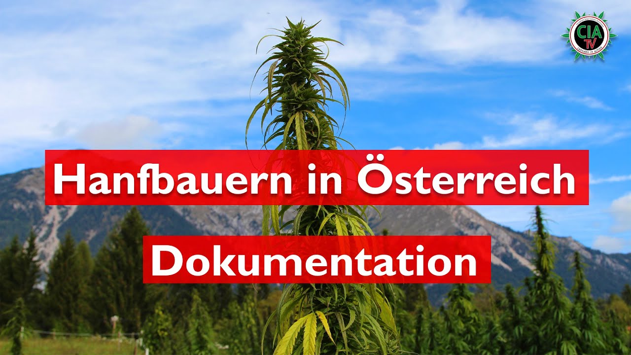 Hanfbauern in &Ouml;sterreich - Die Dokumentation
