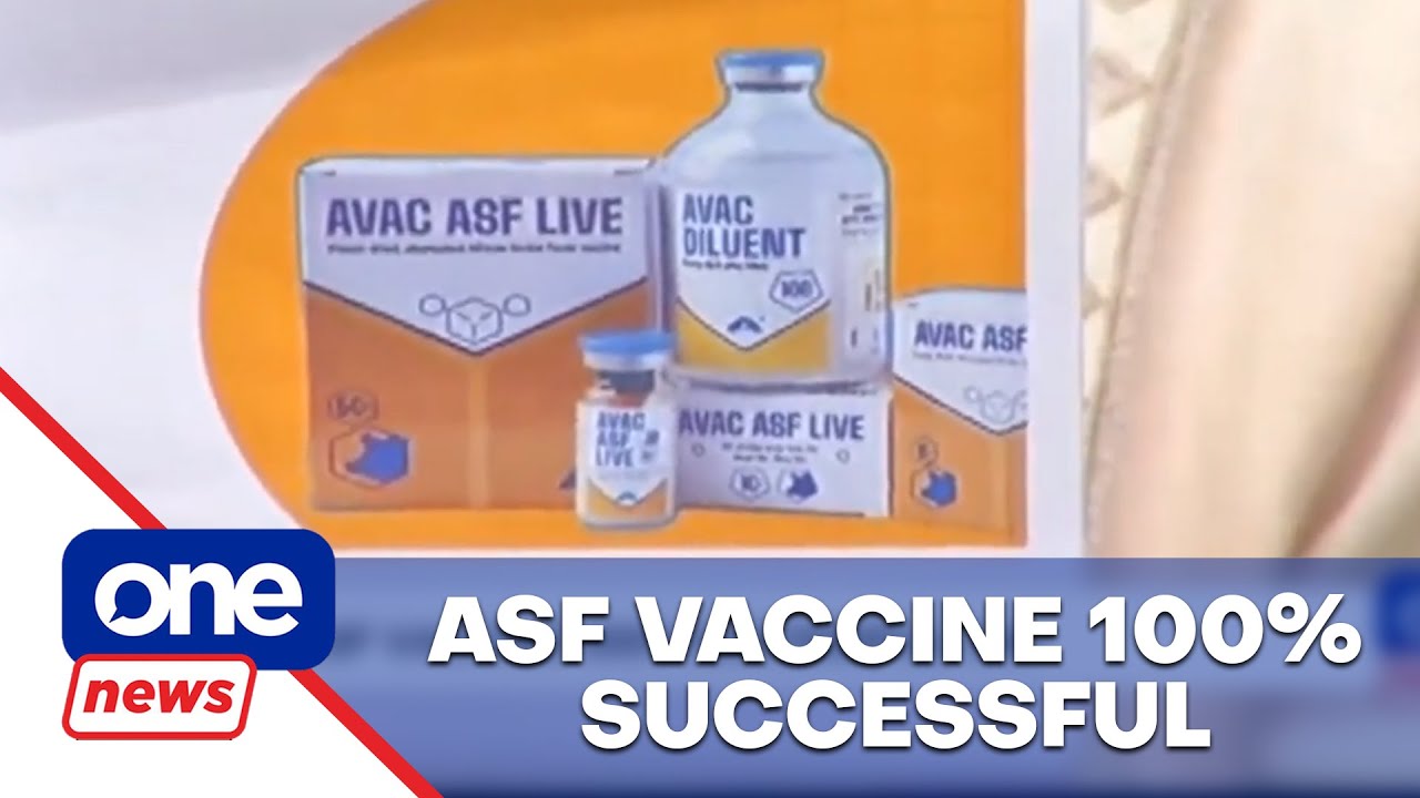 BAI eyes to import 600,000 ASF vaccines