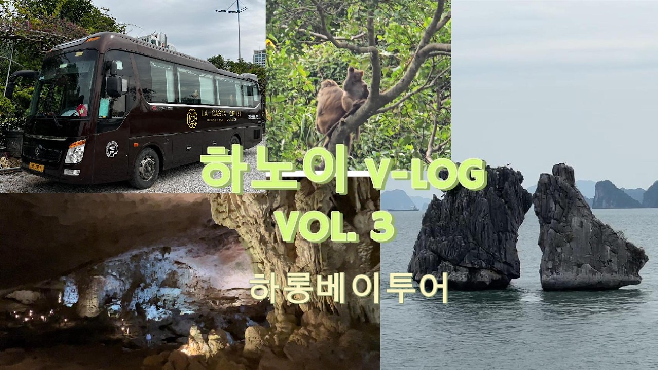 가을 하노이 여행 브이로그 vol3 하롱베이 크루즈 투어