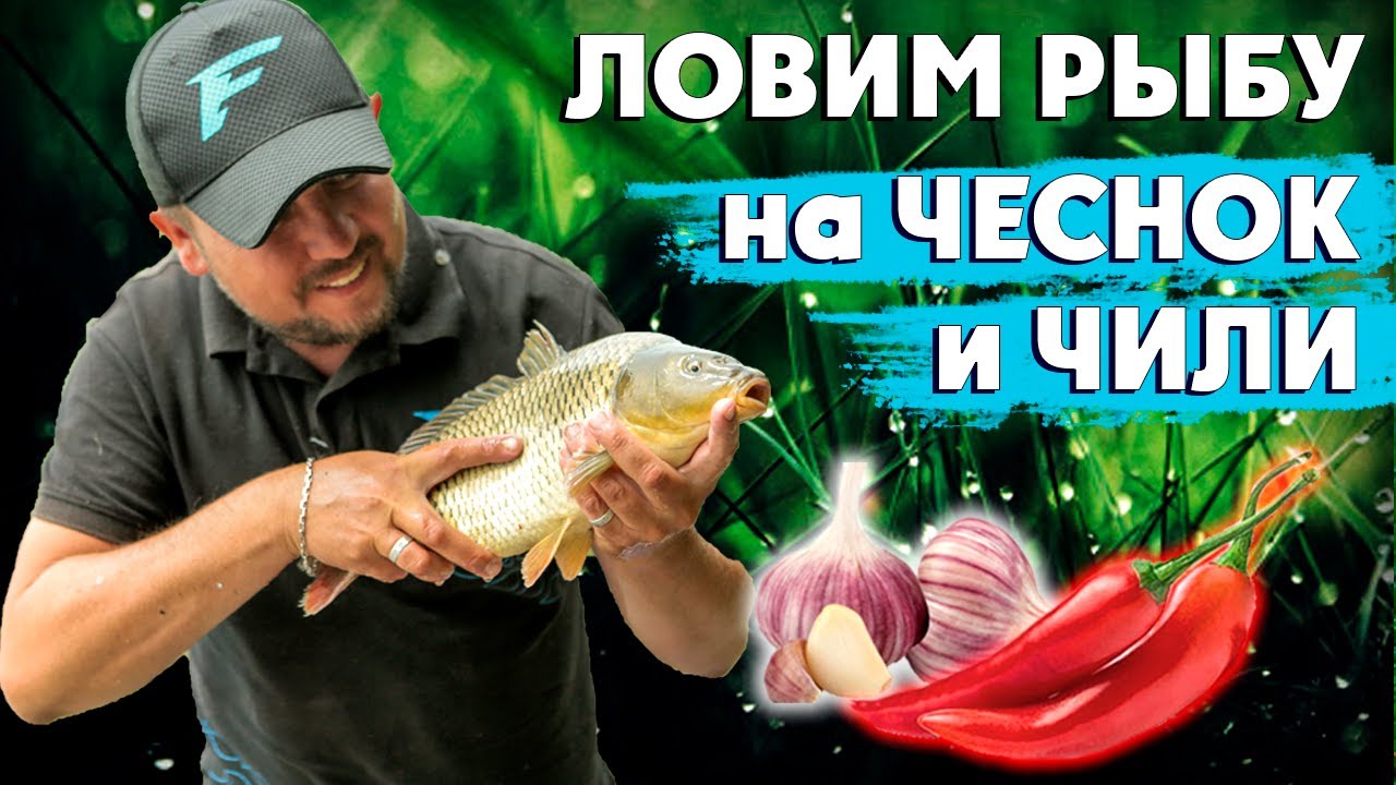 Своими руками делаем активатор клева на карпа. Как ловить карпа на фидер. Ловим рыбу на перец чили.