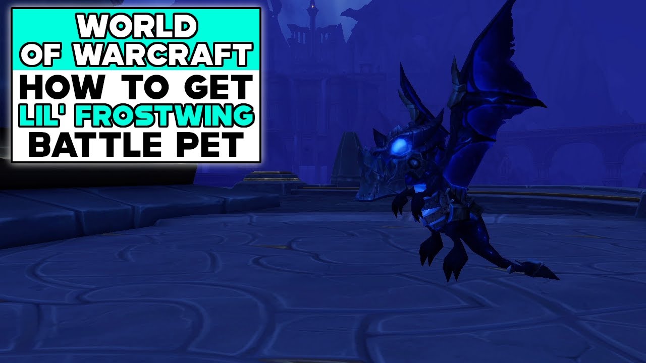 WORLD OF WARCRAFT How To Get LIL' FROSTWING Battle Pet