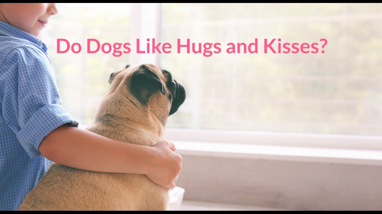 Do Dogs Like Hugs and Kisses- Cuteness.com