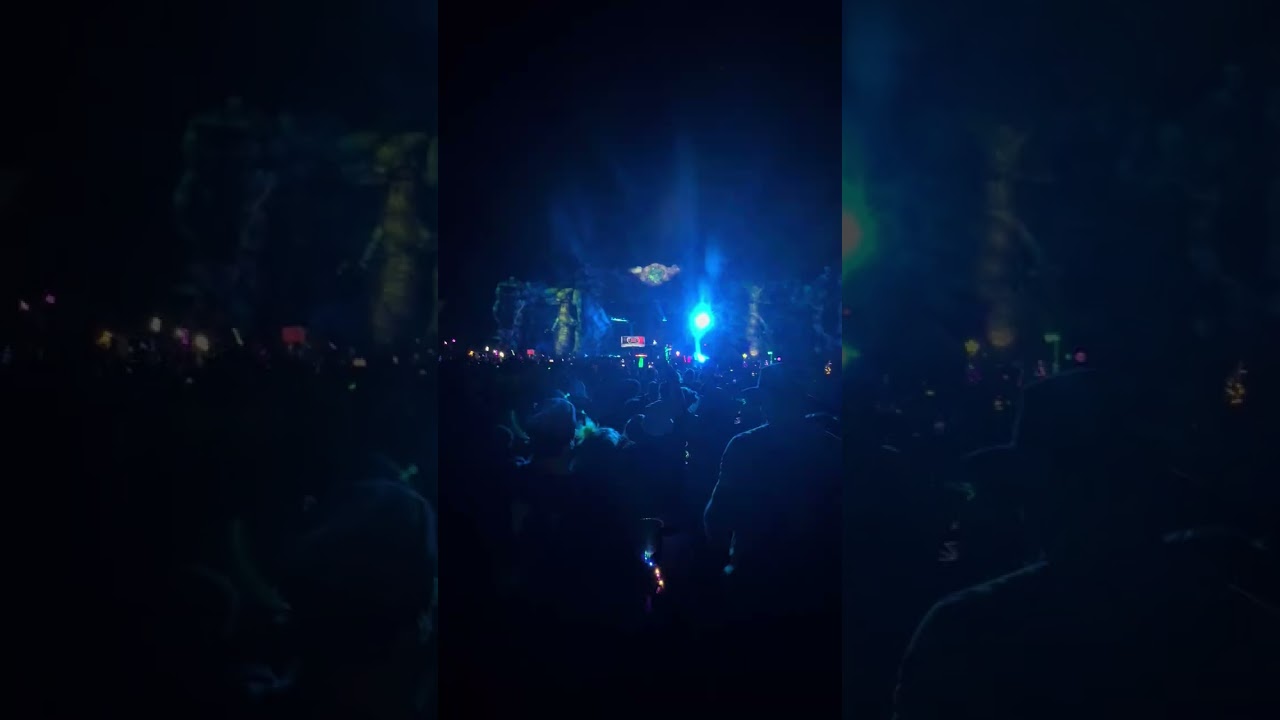 Wooli Electric forest 2024 (full set)
