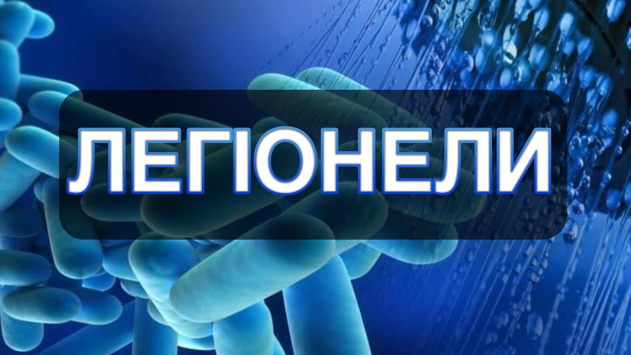 Легіонельоз (хвороба легіонерів) / Legionella pneumophila