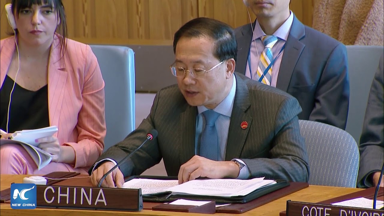 Chinese envoy appeals for adherence to two-state solution in Mideast peace process