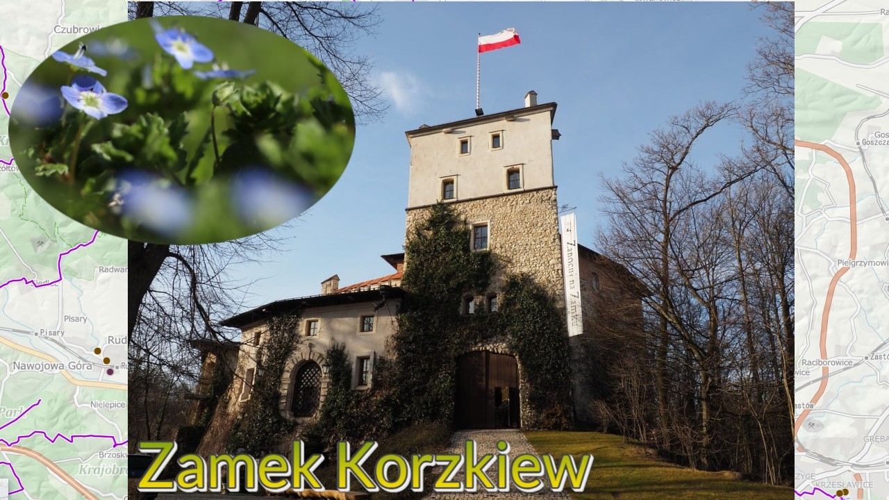 Wyprawa Rowerowa - Zamek Korzkiew i niezapominajki.