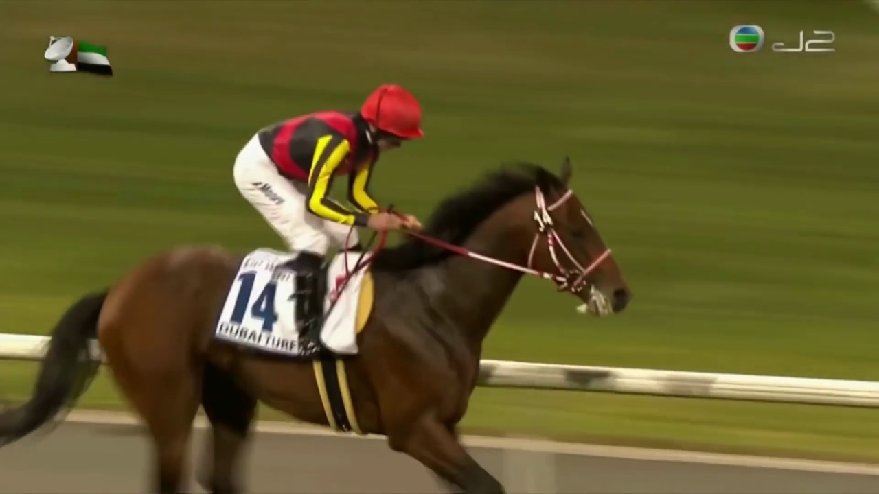 2016 Dubai Turf G1 - Real Steel (不撓真鋼) - R.Moore (莫雅走位一流輕勝而回)