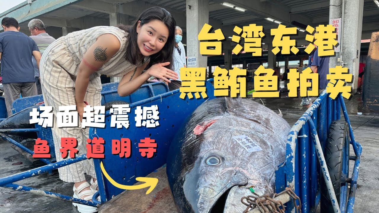 台湾东港华侨市场 渔船老板要把第一条黑鲔鱼800一公斤卖给我｜第一次看黑鲔鱼从卸货到拍卖到分解全过程 罐罐一脑袋问号 鱼界道明寺原来也是选秀出身？【欢迎开启cc字幕】