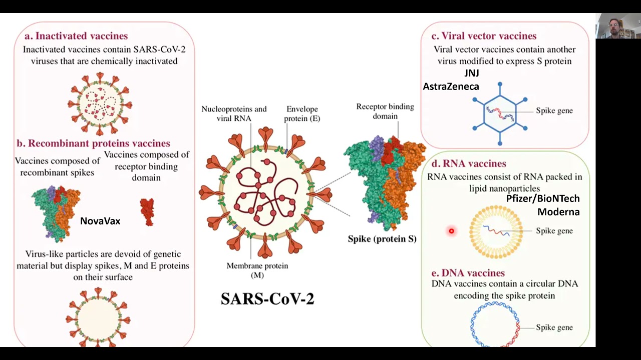 COVID-19 Vaccines Explained