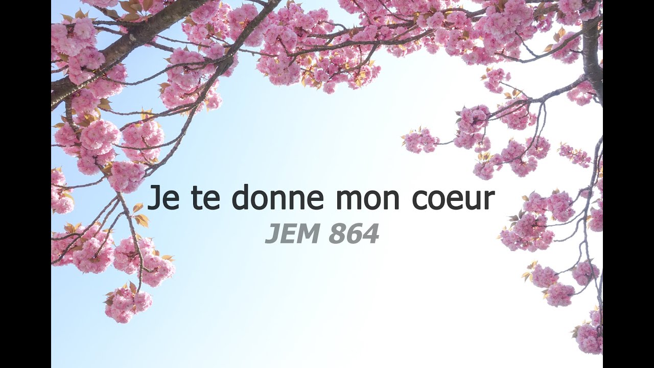 Cover instrumental Je te donne tout - Je te donne mon cœur JEM 864