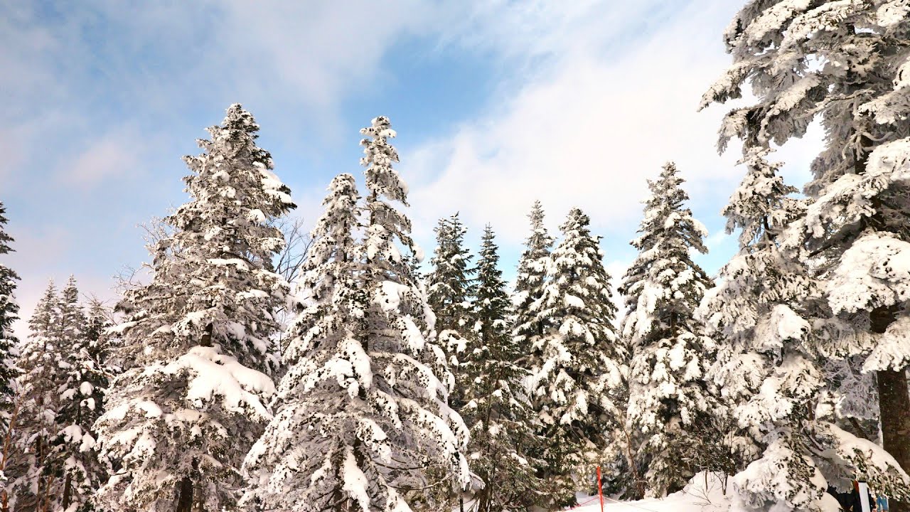 新穂高ロープウェイ　白の世界　2026 01 01 　岐阜県高山市