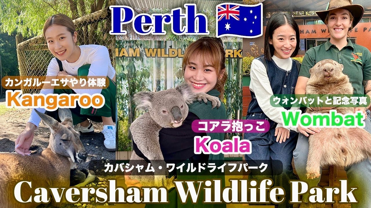 念願のコアラ抱っこ🐨【Perth🇦🇺】Caversham Wildlife Park🌳🦘🥪 | Australia | 女子旅