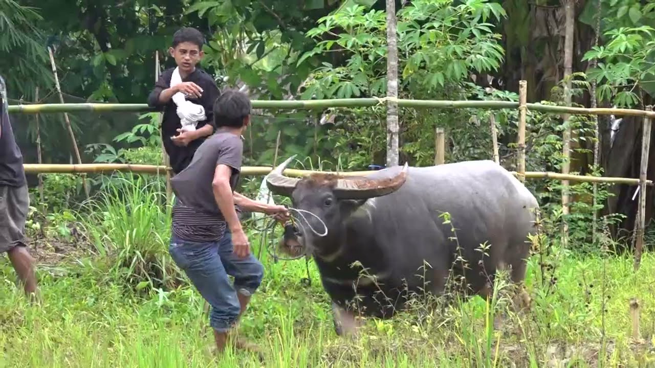 Pemakaman Antonius Bassang malenong Tambunan 3