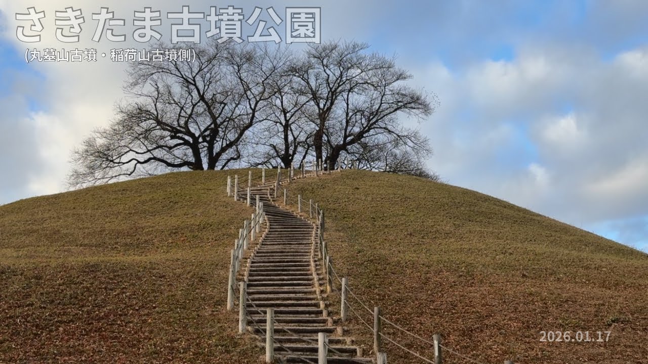 【環境音のみ】早朝散歩｜さきたま古墳公園(丸墓山古墳・稲荷山古墳側)｜2026.01.17