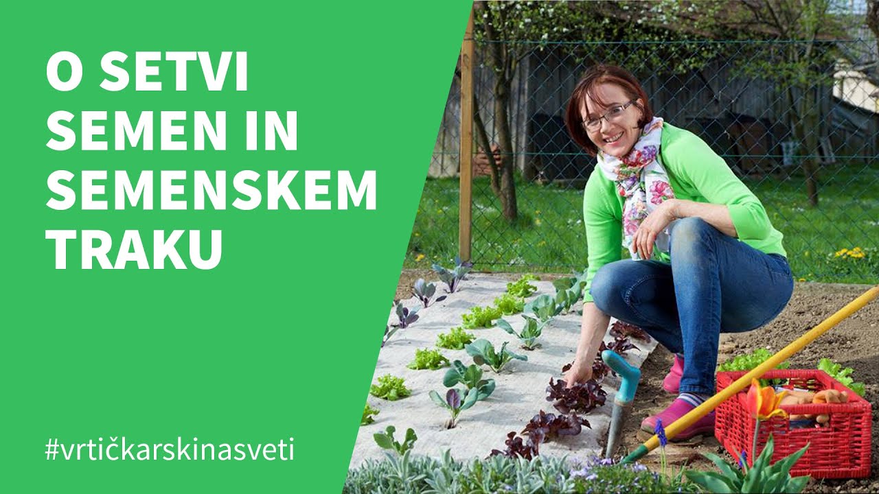 VRTIČKARSKI NASVETI: O setvi in semenskem traku, Metka Ternjak Gomboc