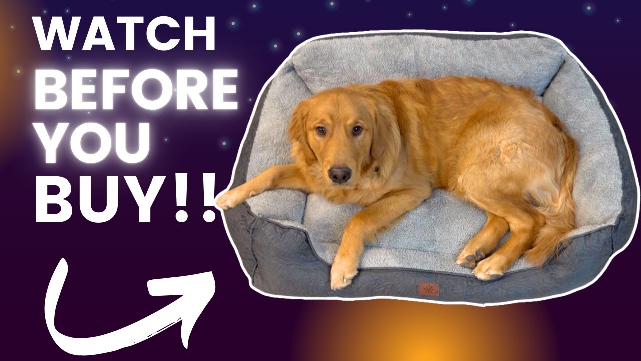 Review of this Washable Dog Bed
