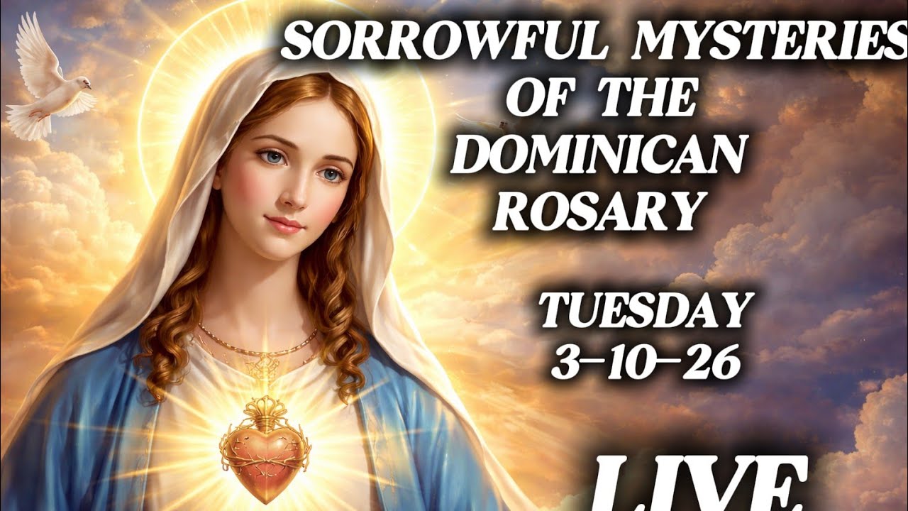 Live Sorrowful Mysteries Of The Dominican Rosary | Prayer |Tuesday 03-10-26 #prayer #catholicsaints