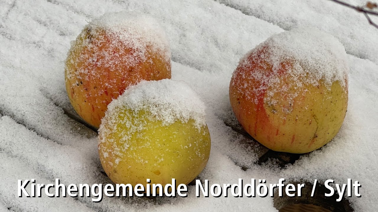 Kinderkirche 309 · 18.1.2026 · 2. Sonntag nach Epiphanias · Friesenkapelle, Sylt
