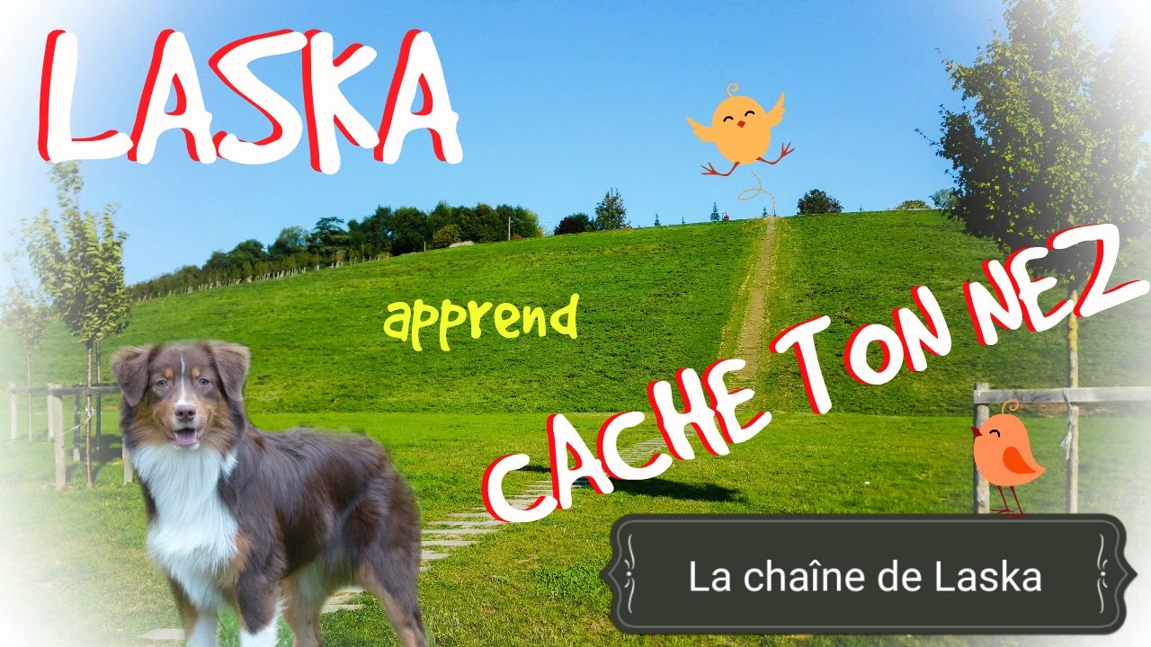 Laska apprend à cacher son nez [TUTO] #46