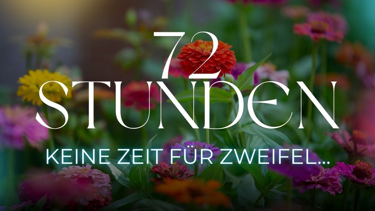 Die kommenden 72 Stunden ✦ Klare Entscheidung - verändert die Zukunft | Du bekommst Hilfe