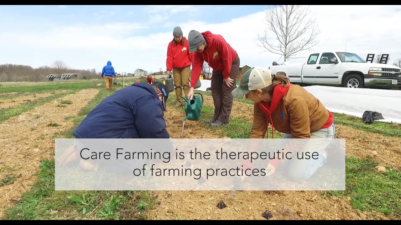 What is Care Farming?