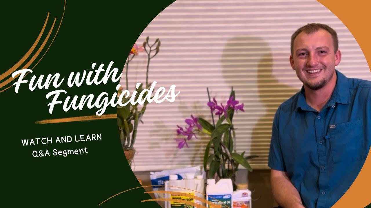 Fun with Fungicides - Q&A on Orchid Chemicals
