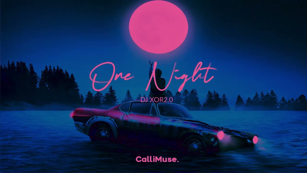 DJ XOR2.0 &ndash; One Night