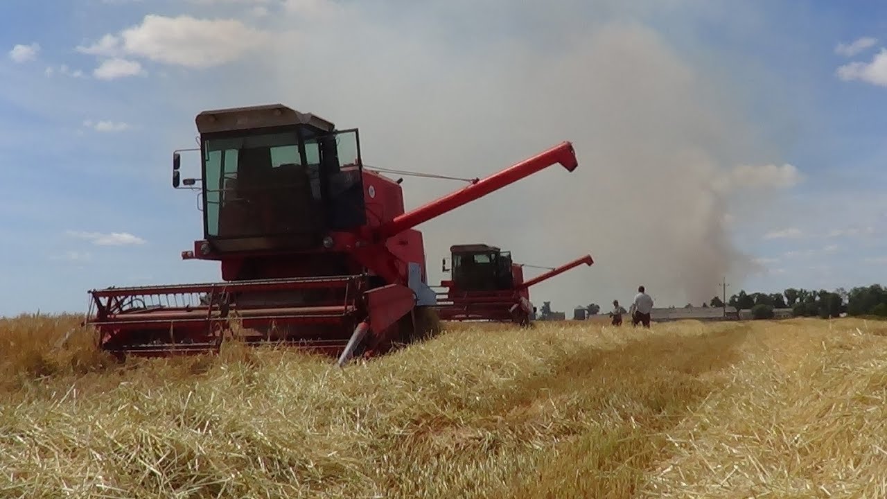 Pożar słomy i ścierniska|Chwałszyce|Wielkopolskie|04.07.2019|Susza w Polsce