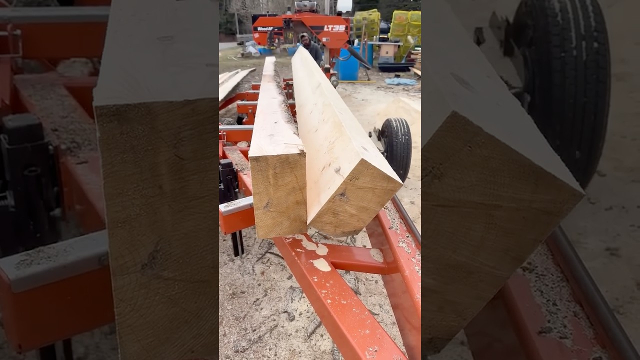 Drwal #maine #świerk #drzewo #zr&oacute;b to sam #tarcica #woodmizer #stihl #drewno #wywrotka