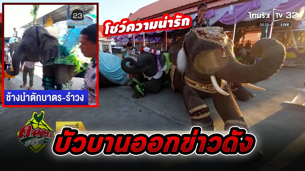 บัวบานออกข่าวดัง❗️ไปงานพ่ออาต