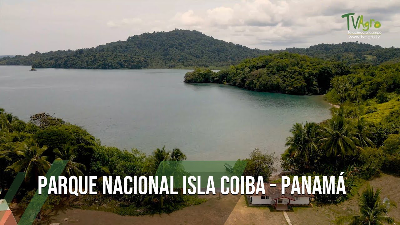 PARQUE NACIONAL ISLA COIBA - PANAMÁ - TvAgro por Juan Gonzalo Angel Restrepo