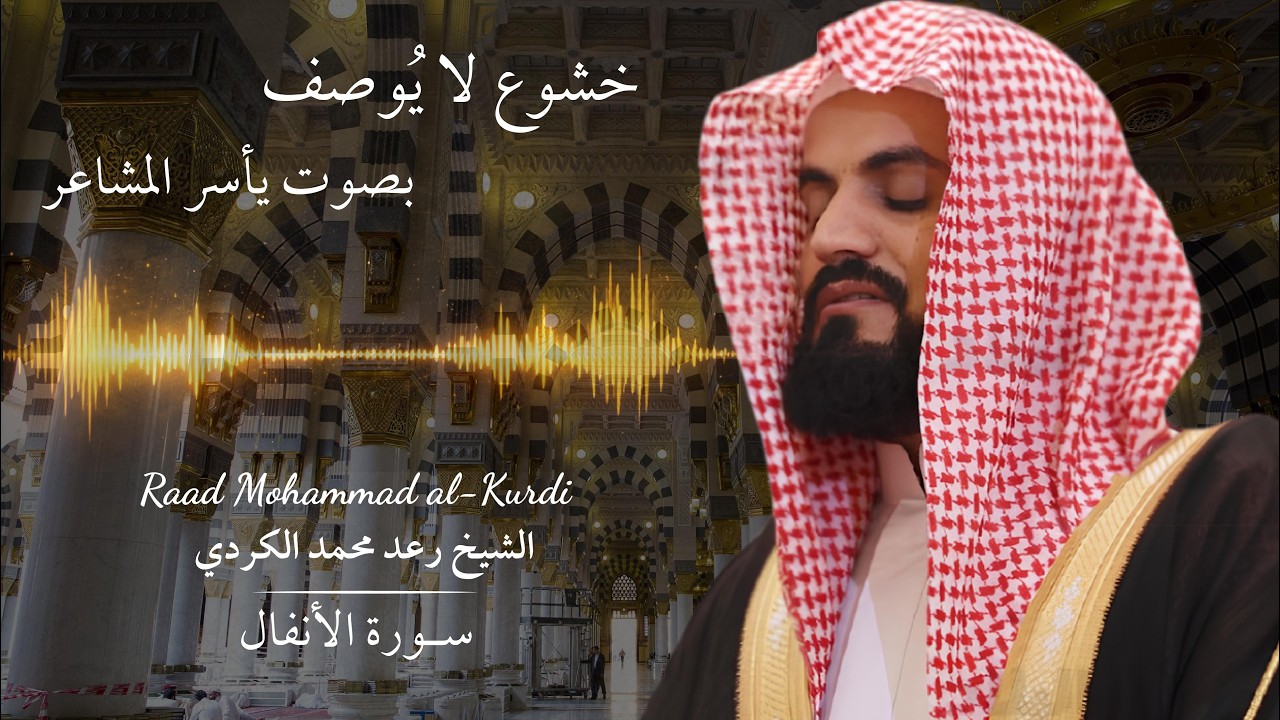سورة الأنفال كاملة بصوت رعد الكردي | تلاوة خاشعة مؤثرة