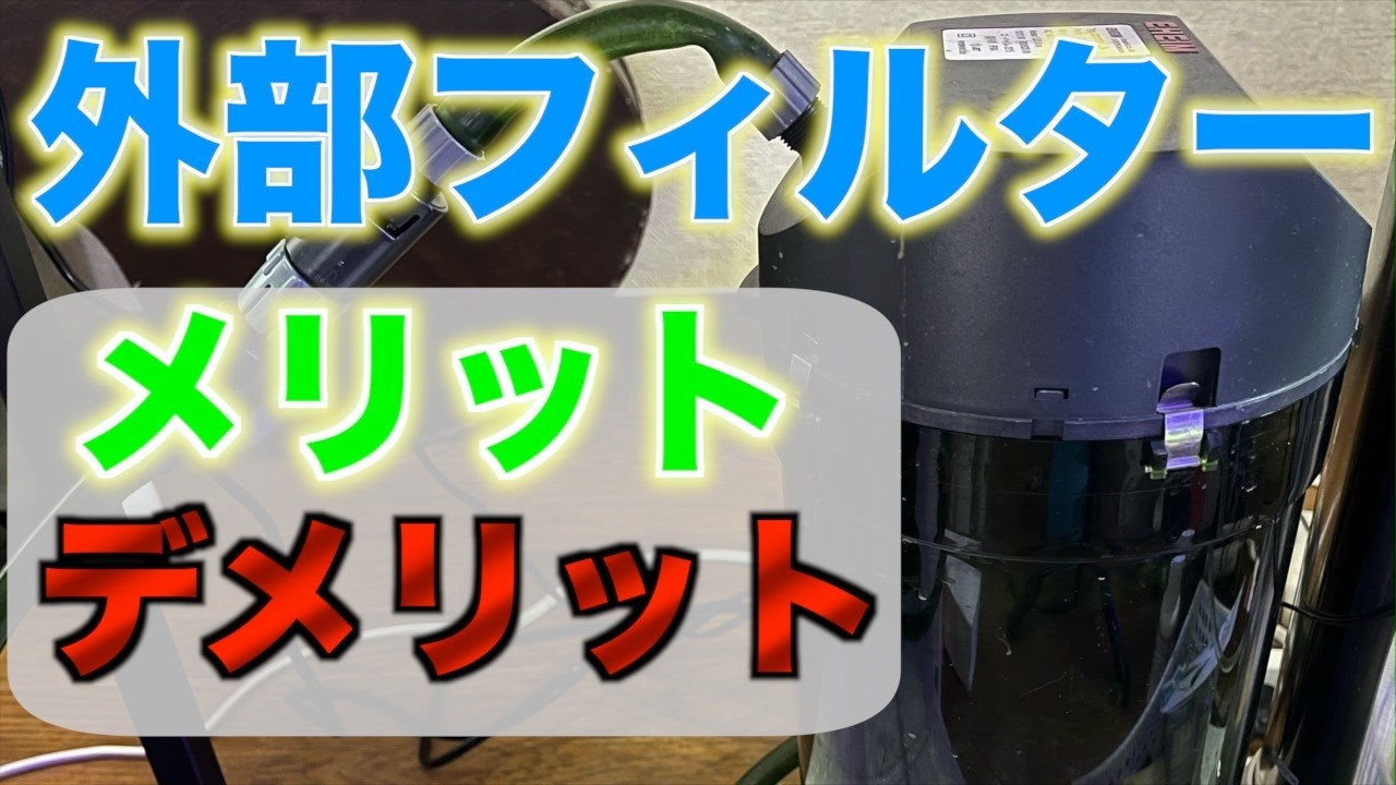 【初心者向け】最強フィルター！？外部フィルターのメリットとデメリットを分かりやすく解説します！
