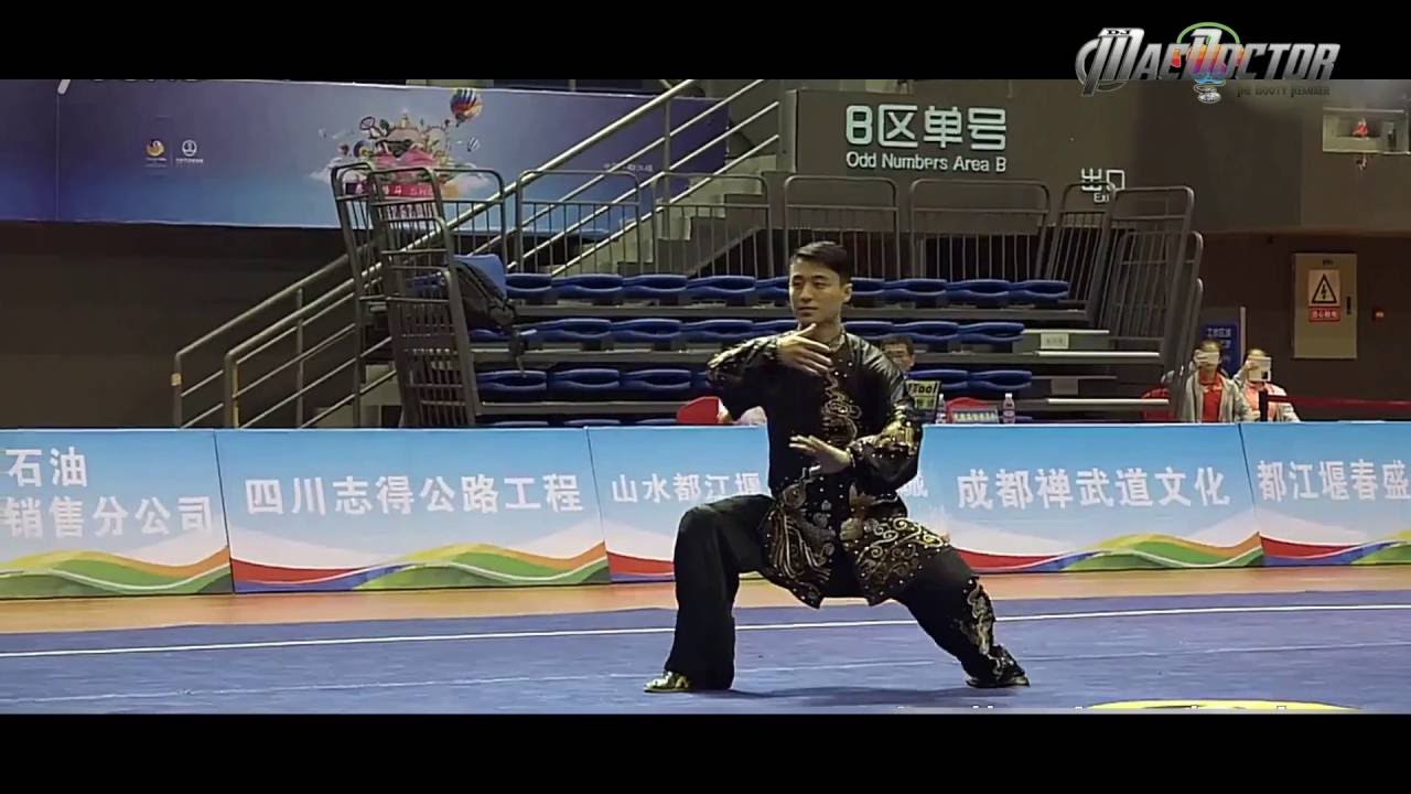 Chen Weijie (陈伟杰) Taijiquan Routine 2016