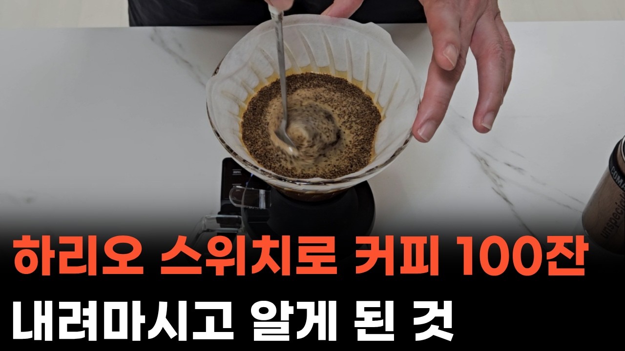 하리오 스위치 100잔 내려보고 깨달은 것, 결국 이걸로 정착했습니다
