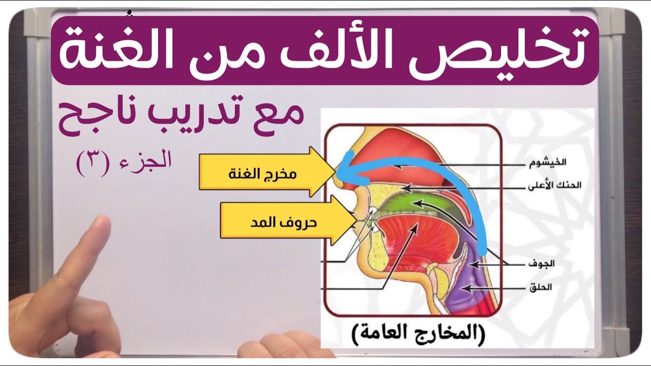 📣(١٣) تخليص الألف من الغنة ، أسباب خروجها مع الألف وتدريب ناجح للتخلص منها بخمس خطوات/أمثلة وتدريبات