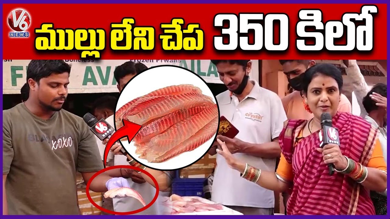 Boneless Fish RS 350 kg In Ram Nagar Market | Teenmaar Chandravva | V6 News