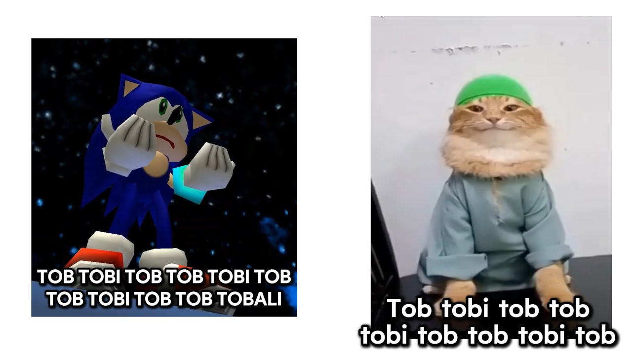 Tob Tobi Tob Tob Tobi Tob but Its Sonic Version...(Muslim Cat)