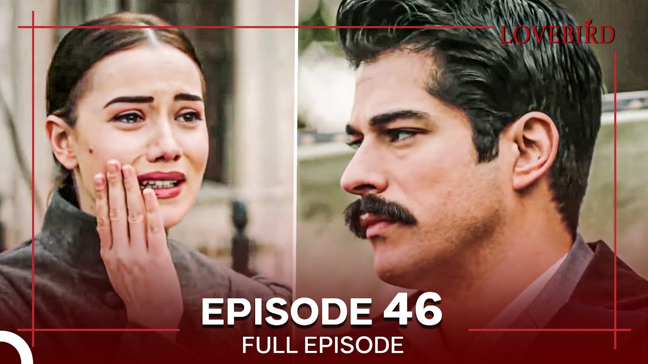 Lovebird Episode 46