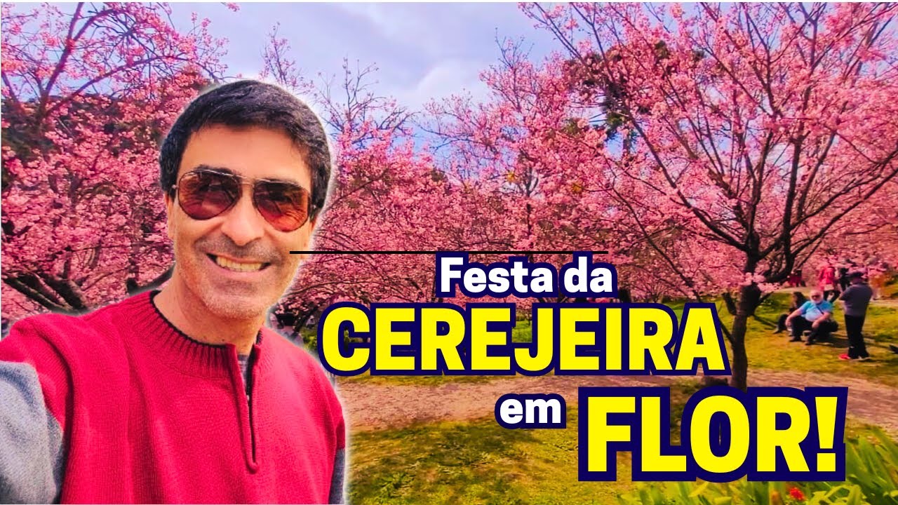 COMEÇOU A FESTA DA CEREJEIRA EM FLOR | UM SHOW DA NATUREZA E DA CULTURA JAPONESA EM CAMPOS DO JORDÃO