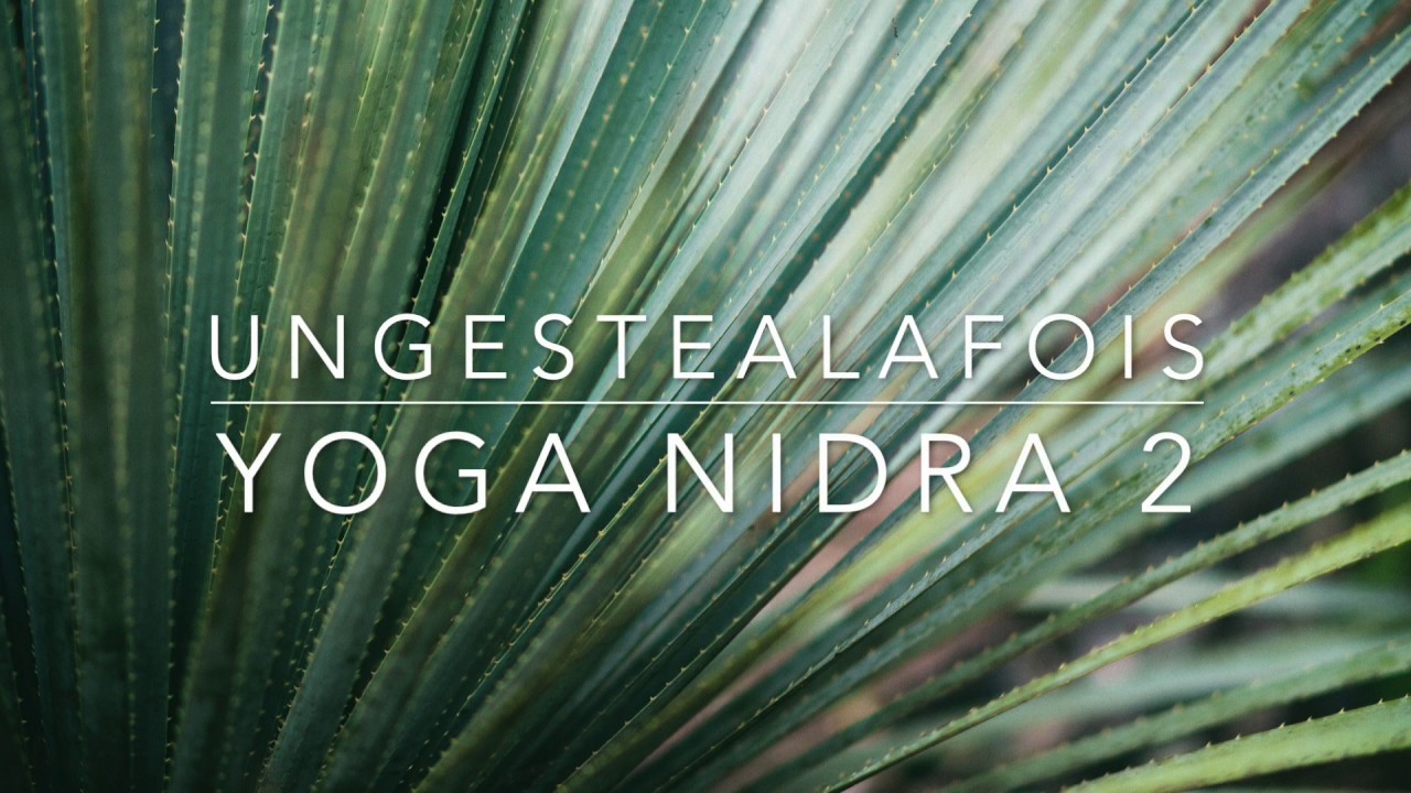 Séance de Yoga Nidra de 30 minutes