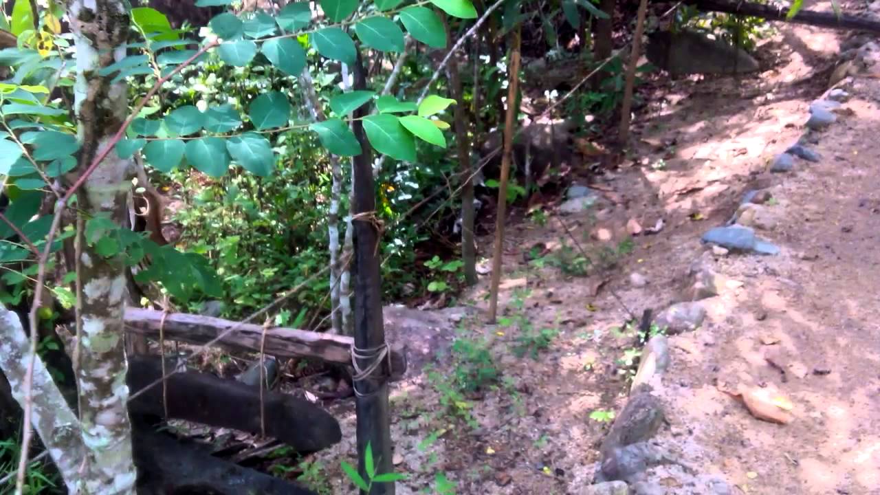 Vietnamese Rock Music